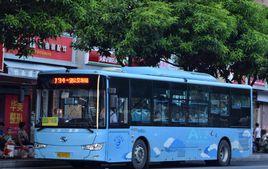 廈門公交134路 廈門公交134路