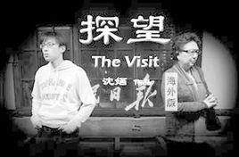 探望[2012年中國電影]