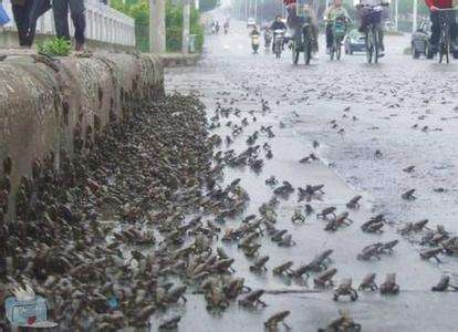 網路配圖 網路配圖