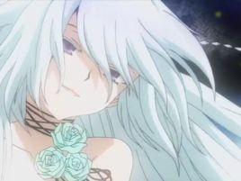 白兔子·艾麗絲 白兔子·艾麗絲