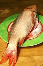 香菇啤酒燒紅鯉 香菇啤酒燒紅鯉