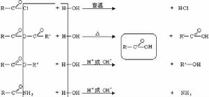 羧酸衍生物的水解反應