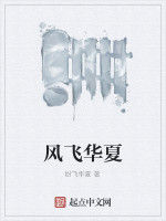 風飛華夏 風飛華夏