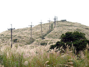 七星墩圳 七星墩圳