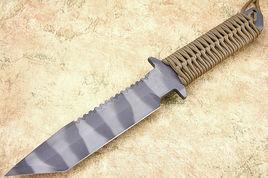 美國挺進者 美國挺進者