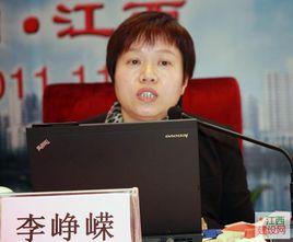 李崢嶸[同濟大學機械與能源工程學院教授]