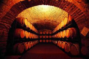 克利科瓦酒窖圖