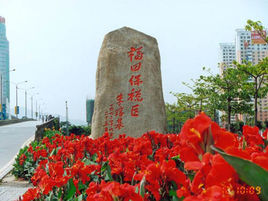 深圳市保稅區 深圳市保稅區