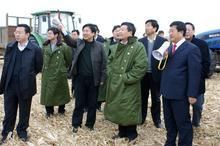 渦陽縣國土資源局 渦陽縣國土資源局