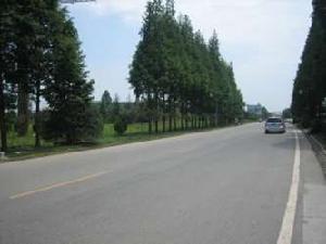 芙蓉青城 芙蓉青城