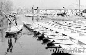 鋼絲網水泥 鋼絲網水泥