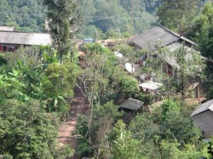 曼拱一村 曼拱一村