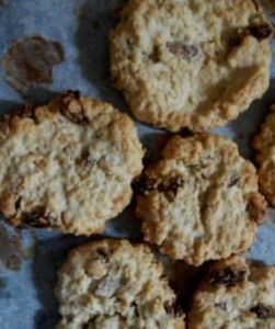 燕麥葡萄餅乾 燕麥葡萄餅乾