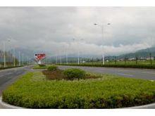 軍屯鎮道路綠化
