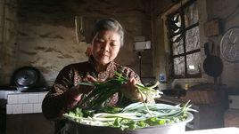 兒的白髮親娘 兒的白髮親娘