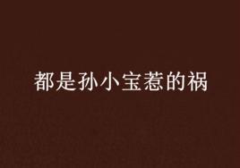 都是孫小寶惹的禍 都是孫小寶惹的禍