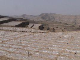 姜家莊村[山東省海陽市盤石店鎮東姜家莊村]