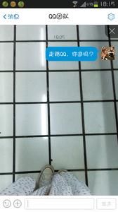 走路QQ