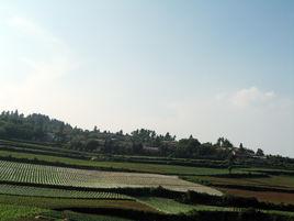 上街路村[雲南省玉溪市華寧縣青龍鎮上街路村]