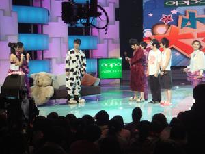 （圖）昆蟲組合