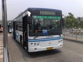 莘海專線 莘海專線