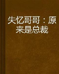 失憶哥哥:原來是總裁 失憶哥哥:原來是總裁