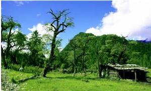 老山原始森林保健度假區