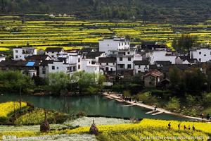 戴家畈村 戴家畈村