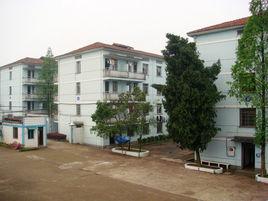 金華市女子中學 金華市女子中學