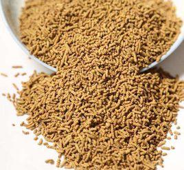 涼山苦蕎茶 涼山苦蕎茶