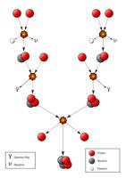 質子-質子鏈反應 質子-質子鏈反應