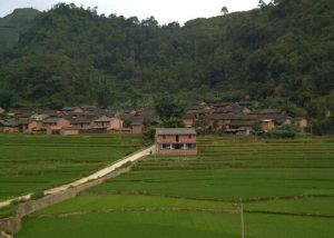 沙尾沖村 沙尾沖村