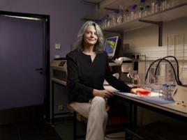 布里奇特·齊弗 布里奇特·齊弗