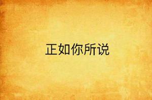 正如你所說 正如你所說