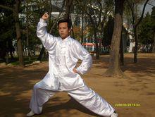 李峰[趙堡太極拳傳人]