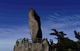 猴子捧桃 猴子捧桃