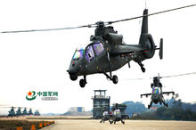 陸航武直-19編隊