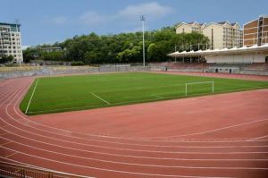 西南大學體育學院