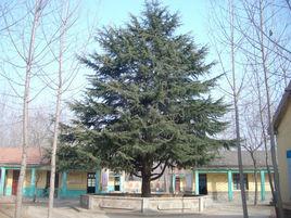 西朱范國小 西朱范國小