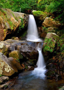 湖南大圍山森林公園 湖南大圍山森林公園