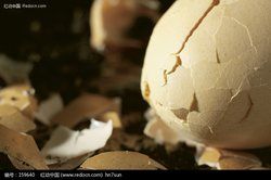 風吹雞蛋殼 風吹雞蛋殼