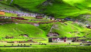 扎溪卡草原 扎溪卡草原