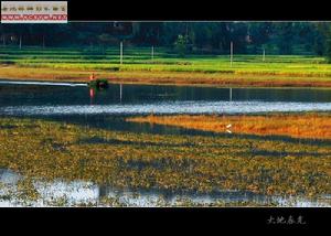 岳池平原 岳池平原