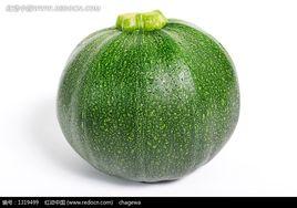 青青迷你南瓜 青青迷你南瓜