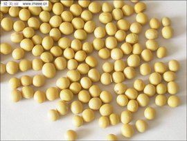 植物雌激素 植物雌激素