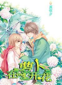 蘿蔔在開花 蘿蔔在開花