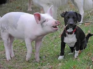 奇聞趣事 奇聞趣事