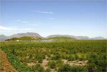 遷安國家地質公園