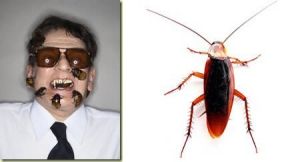 肯·愛德華茲 肯·愛德華茲