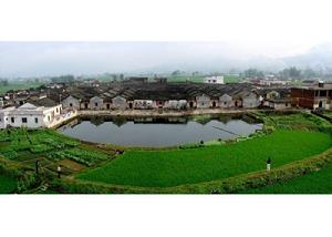 一覽豐泰堂及其周圍環境